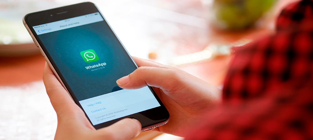 WhatsApp prueba informar las veces que los contenidos se reenvían